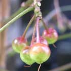 �}�������E